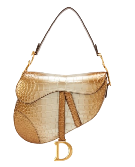 Dior Saddle Bag